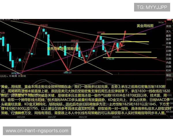 乒乓球技术全面提升指南：从基础技巧到高级战术的完美突破