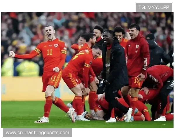 加雷斯·贝尔：从威尔士足球传奇到退役后的新人生转型