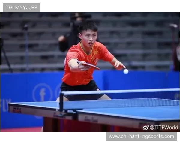 南京乒乓球队状态排名创新高竞技水平再攀新高峰